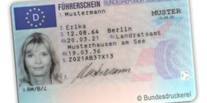 Führerschein (1)